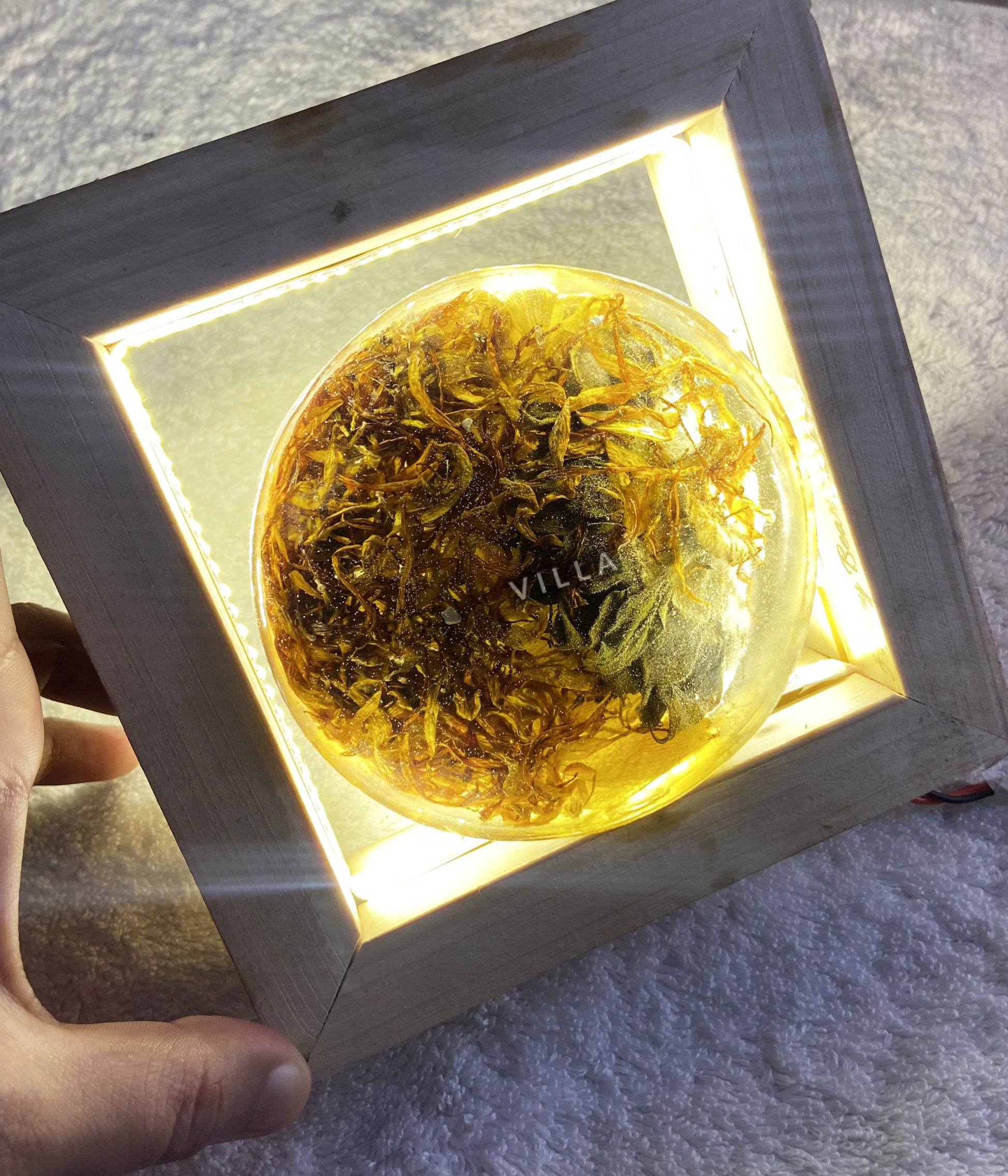 Resin Art, LED Lamp 6" Square Snoogg LED with floral preservation lamp