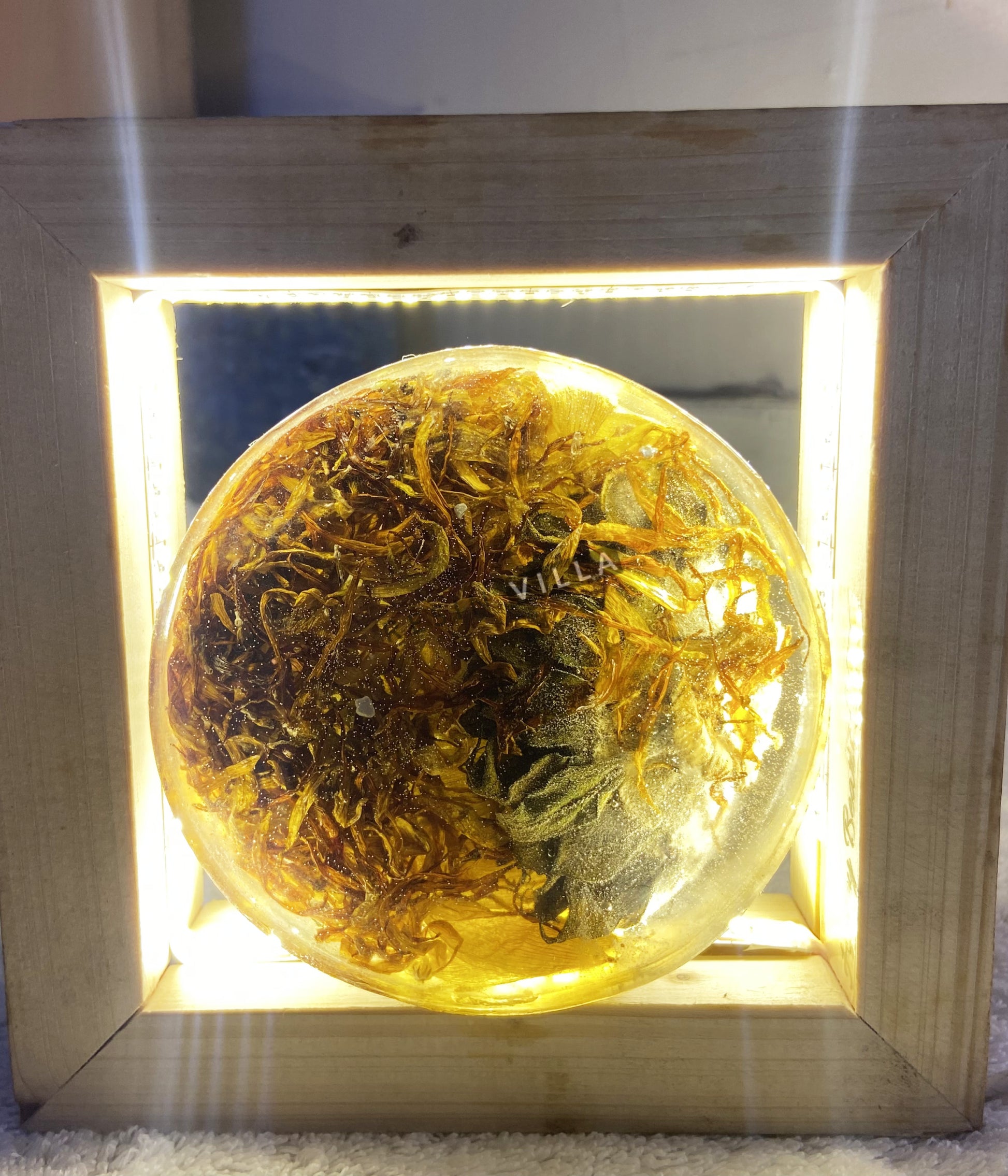 Resin Art, LED Lamp 6" Square Snoogg LED with floral preservation lamp